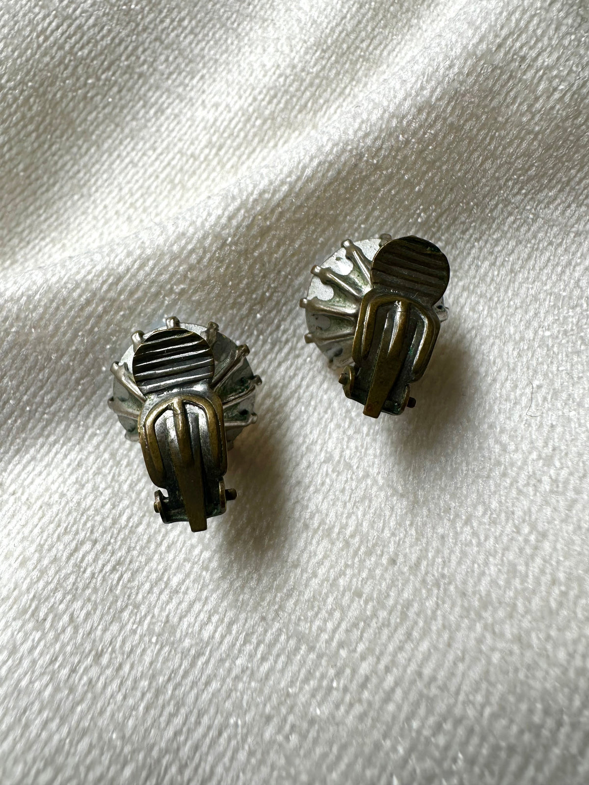 Vintage aurelia boralis clips