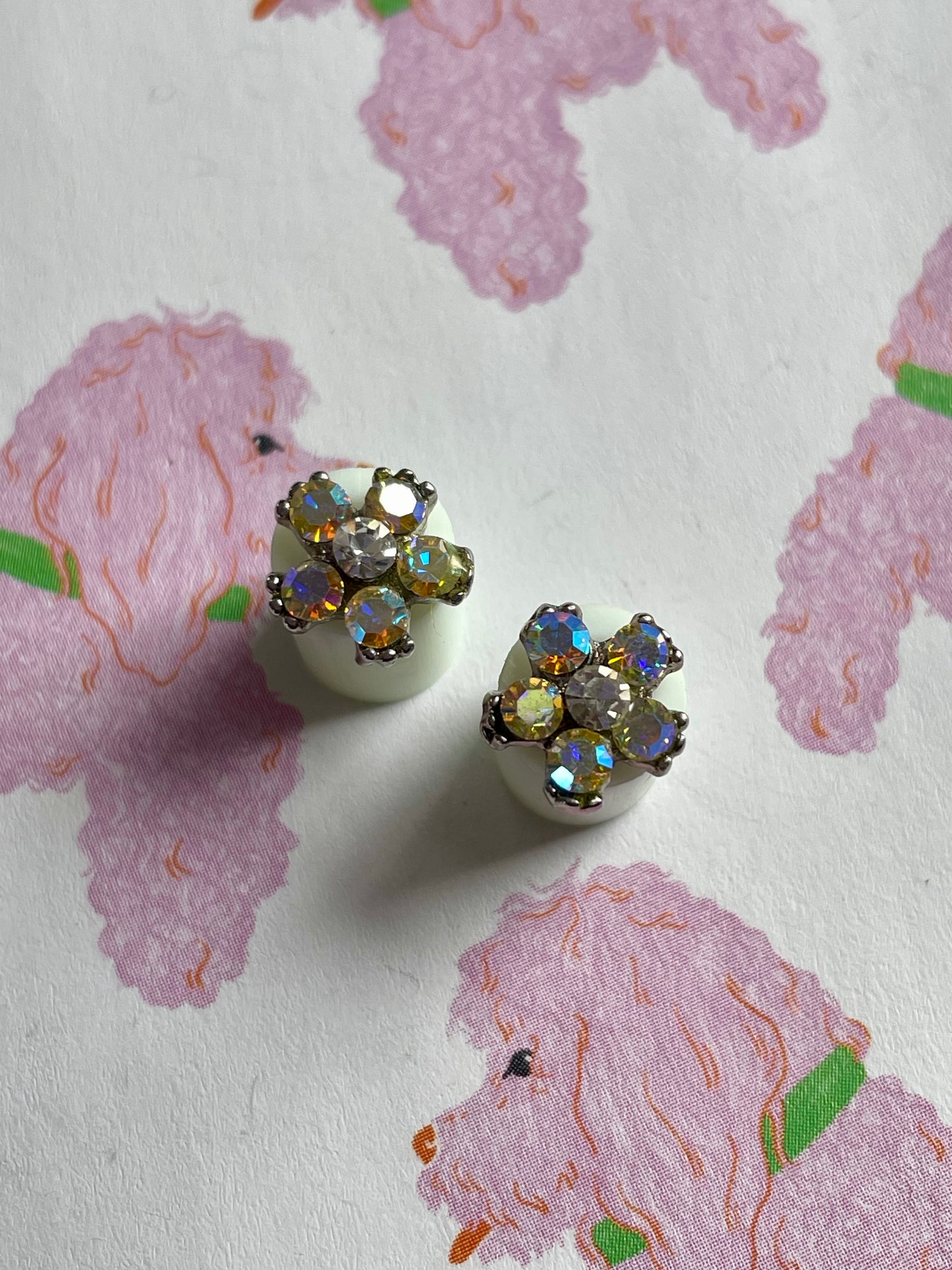 Bloemen aurora borealis stekers