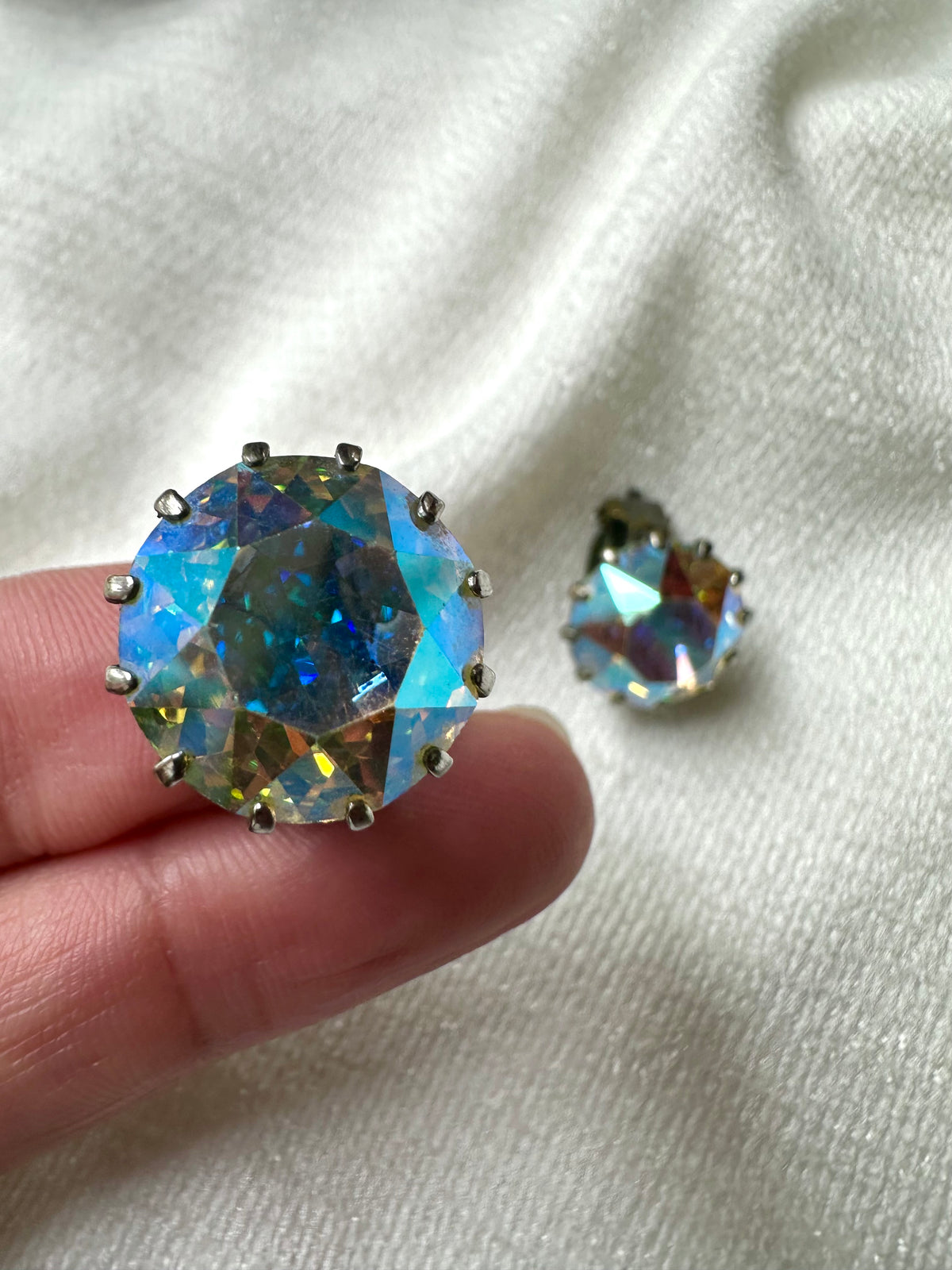 Vintage aurelia boralis clips